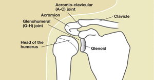 scapularis arthritis hogyan kell kezelni)