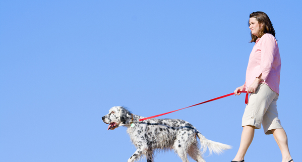 Advice from a CHT Leash Safety The Hand Society