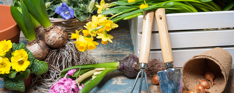 How to prevent gardening injuries
