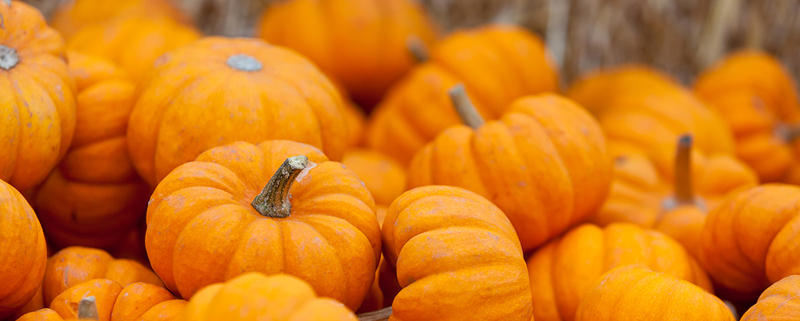 Advice from a Certified Hand Therapist: Pumpkin fun without knives!
