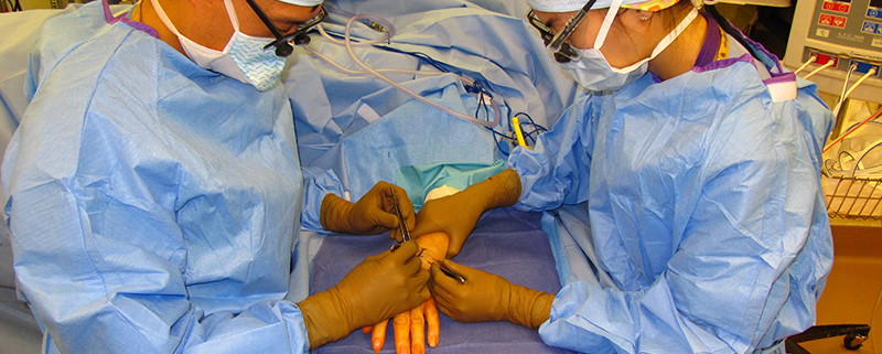 Planning, Expecting, and Preparing for Elective Hand Surgery